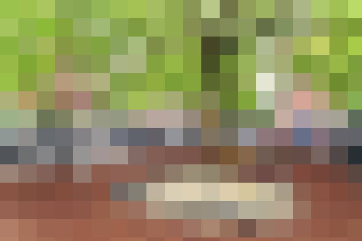  / #21