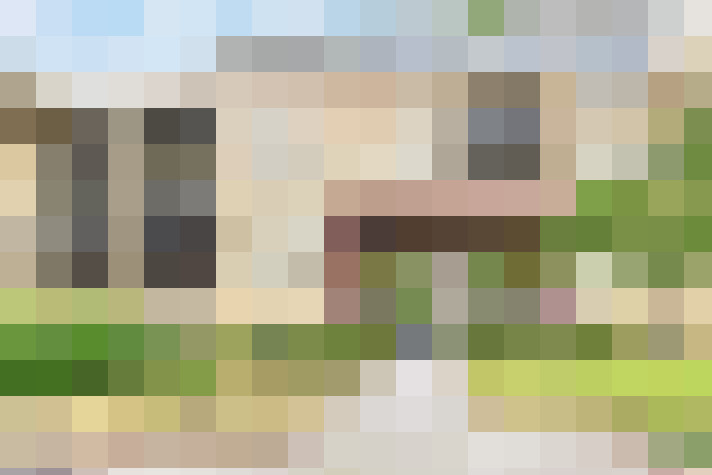  / #20
