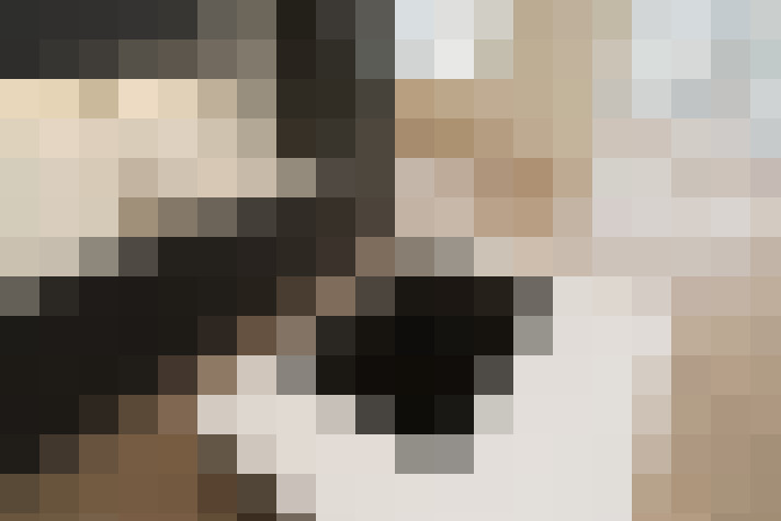  / #12