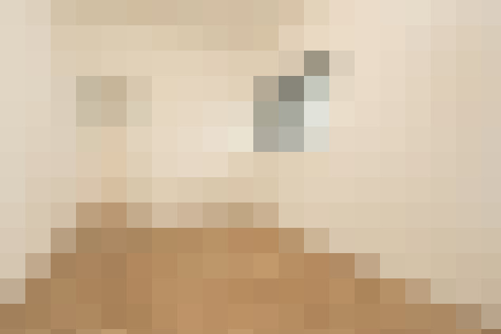  / #17