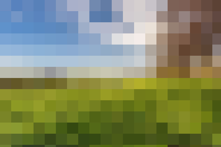  / #58