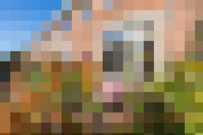  / #54