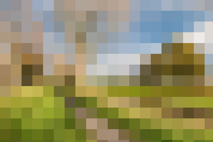  / #56