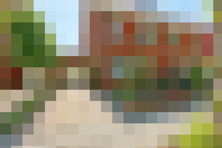  / #49