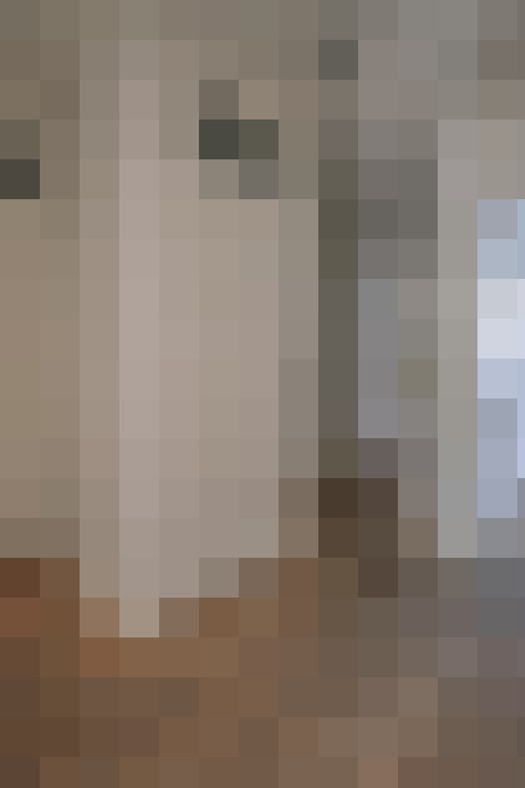  / #26