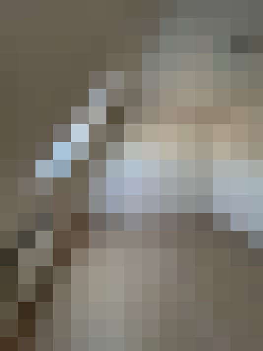  / #24