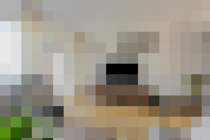  / #15