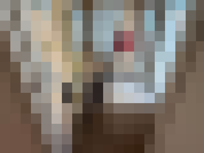  / #14