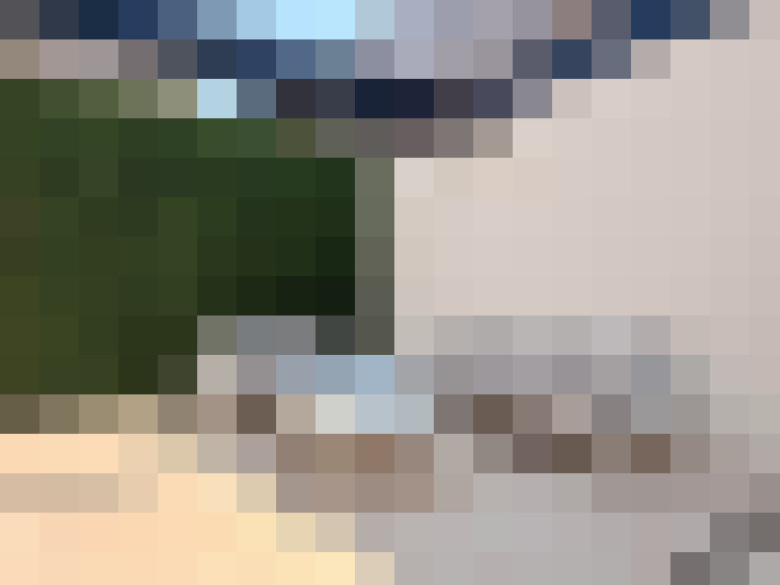 / #23