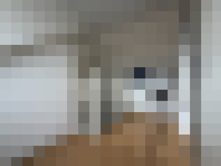  / #13