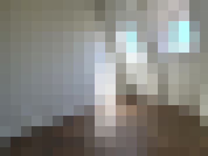  / #14