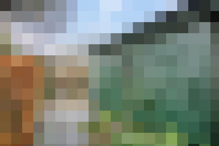  / #53