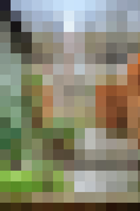  / #54