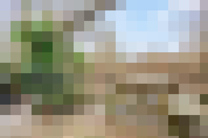  / #58