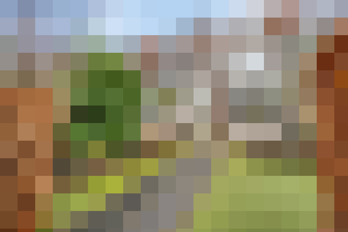  / #52