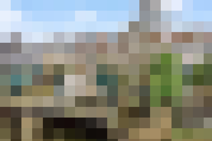  / #61