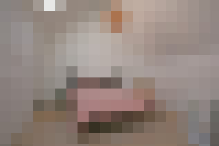  / #29