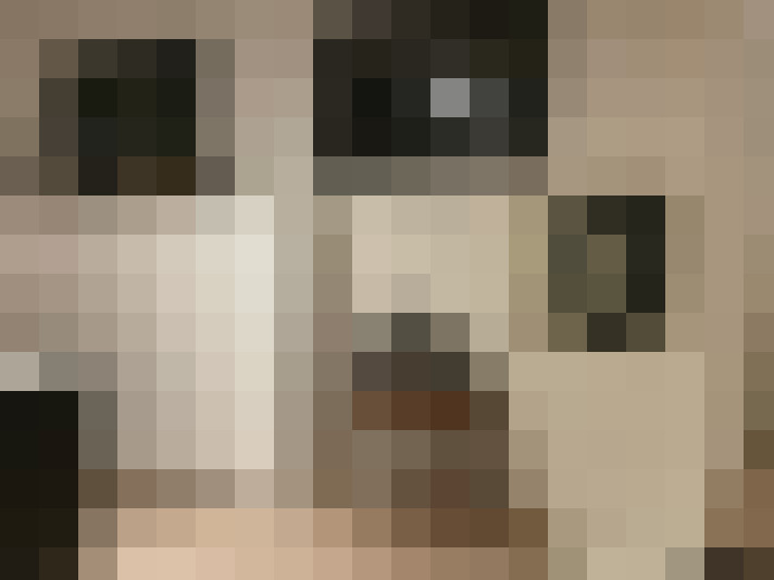  / #26
