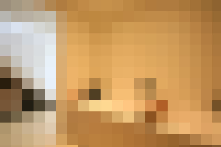 / #21