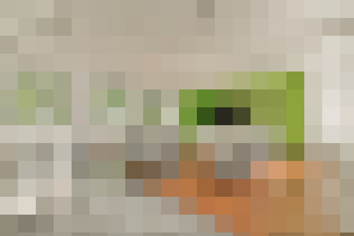  / #71