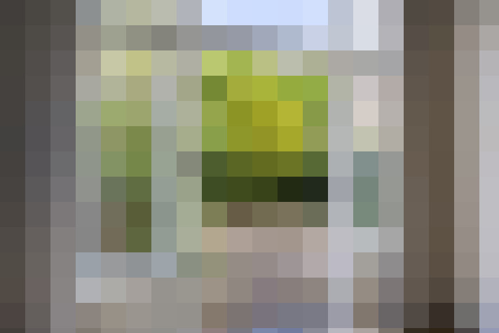  / #17