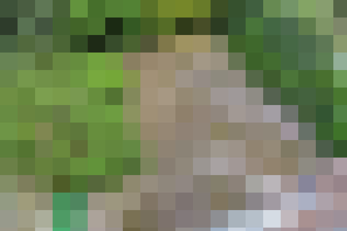  / #63