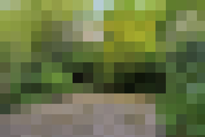  / #64