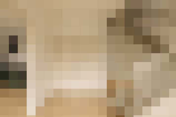  / #16