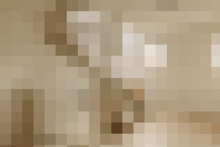  / #23