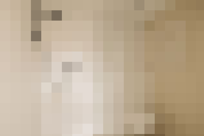  / #21