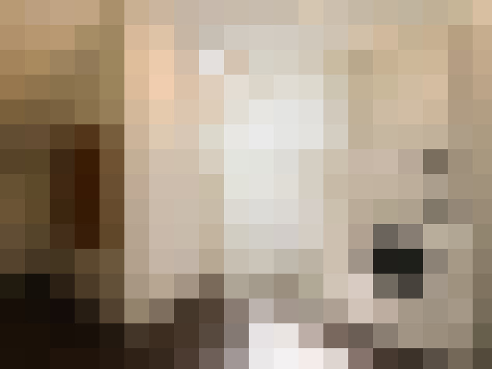  / #19