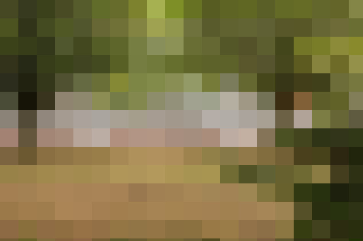  / #15