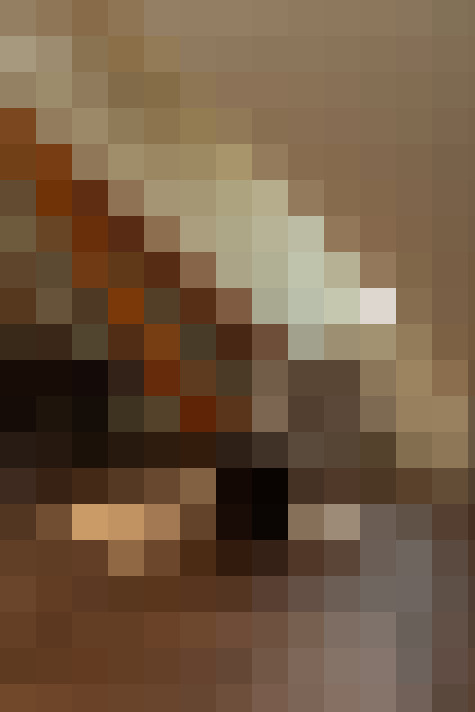  / #5