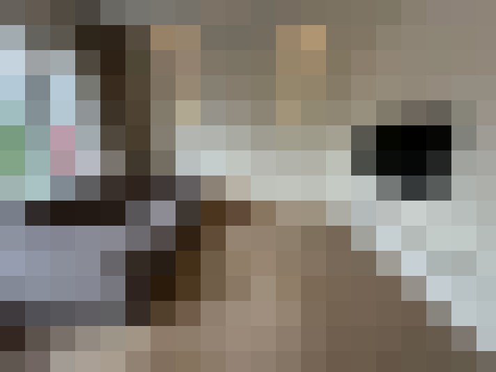  / #8