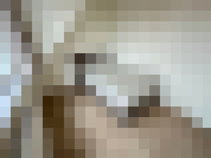  / #15