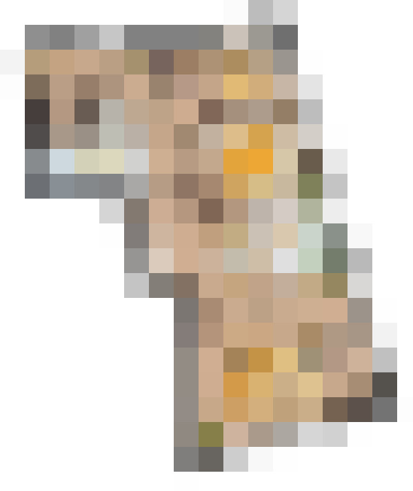  / #11