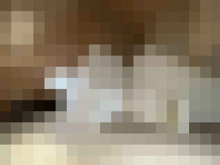  / #21