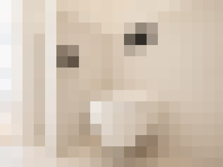  / #19