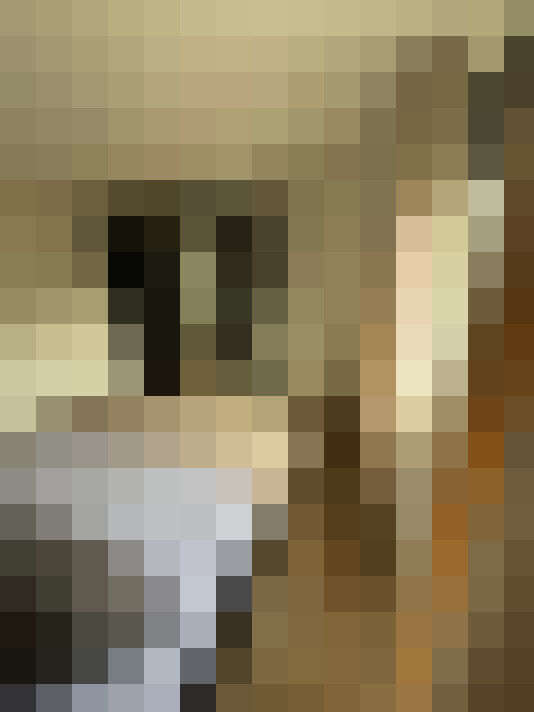  / #19