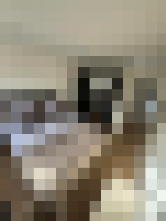  / #18