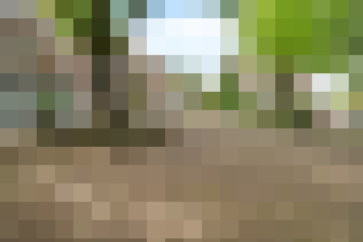  / #17