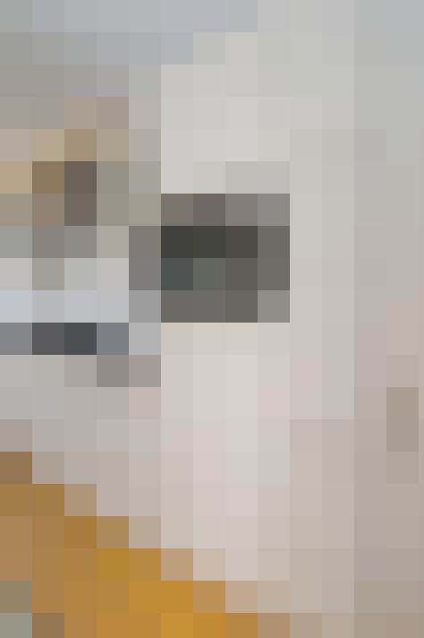  / #58