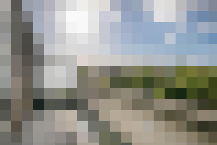  / #37
