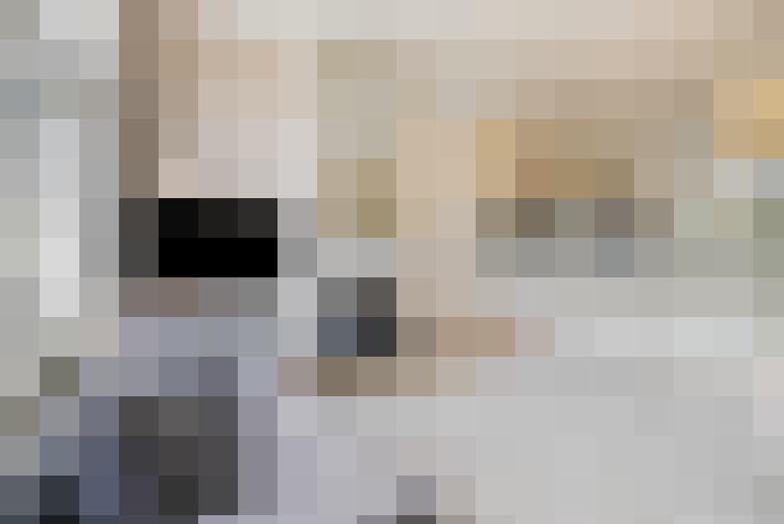  / #8