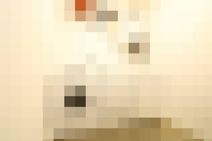  / #16