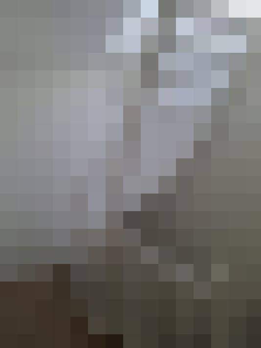  / #16