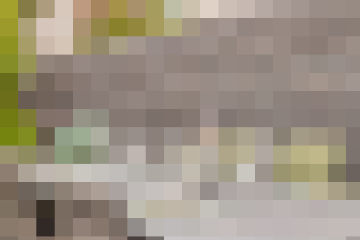  / #55