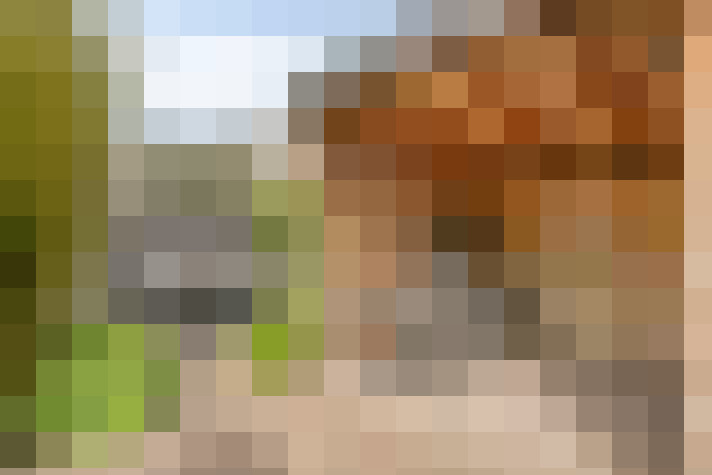  / #61