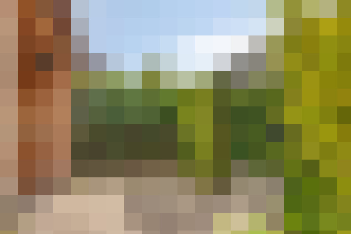  / #62