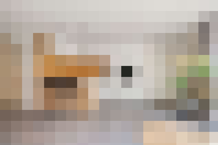  / #16
